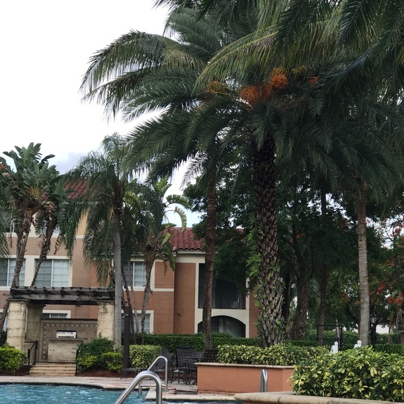 Meet your posher - Picture 1 of 1